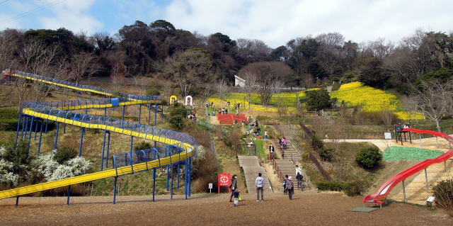 金沢自然公園 バーベキュー広場 横浜の海辺の街