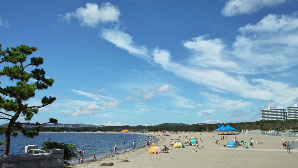 海の公園｜横浜で唯一の海水浴場｜潮干狩り｜バーベキュー｜