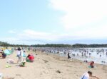 横浜 金沢区 2021年5月イベント情報
