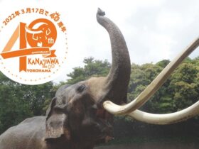金沢動物園40周年プロジェクト