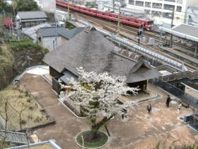 横浜 金沢区 2025年3月イベント情報