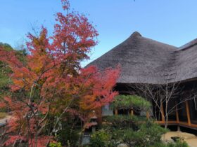 横浜 金沢区 2025年12月イベント情報