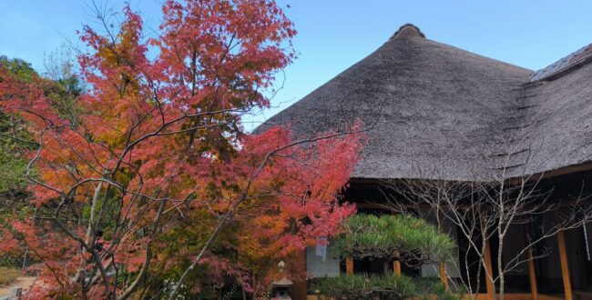 横浜 金沢区 2025年12月イベント情報