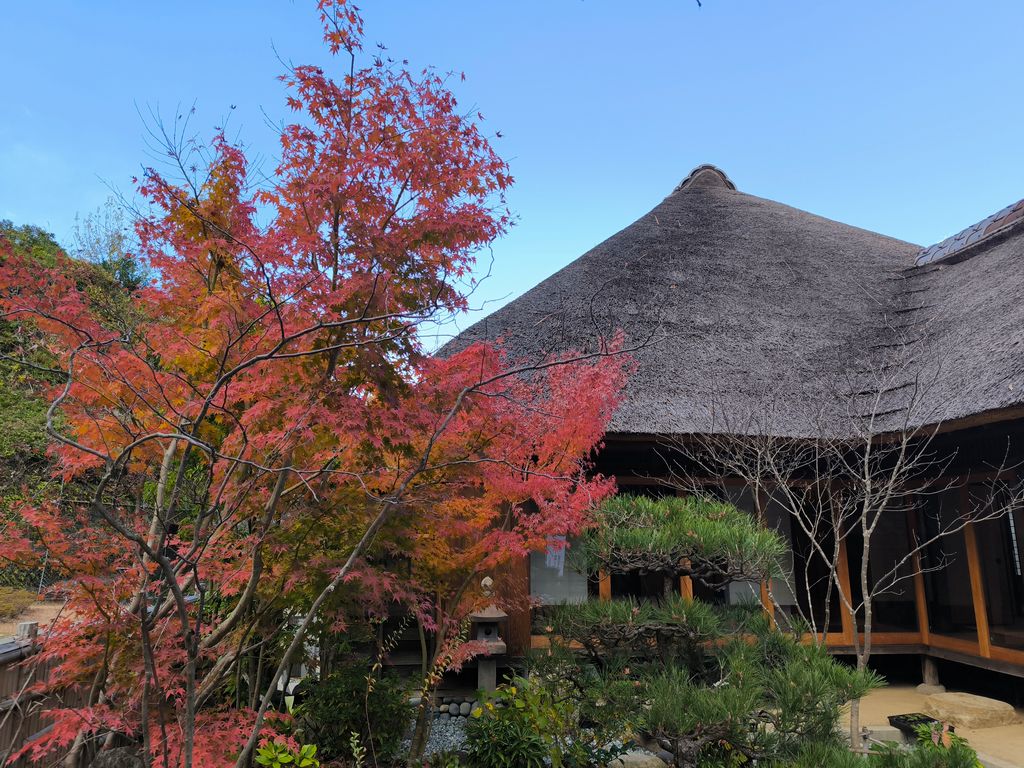 横浜 金沢区 2025年12月イベント情報