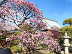 横浜 金沢区 2026年2月イベント情報