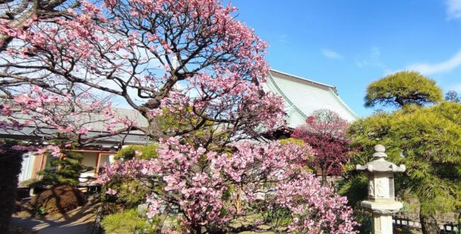 横浜 金沢区 2026年2月イベント情報