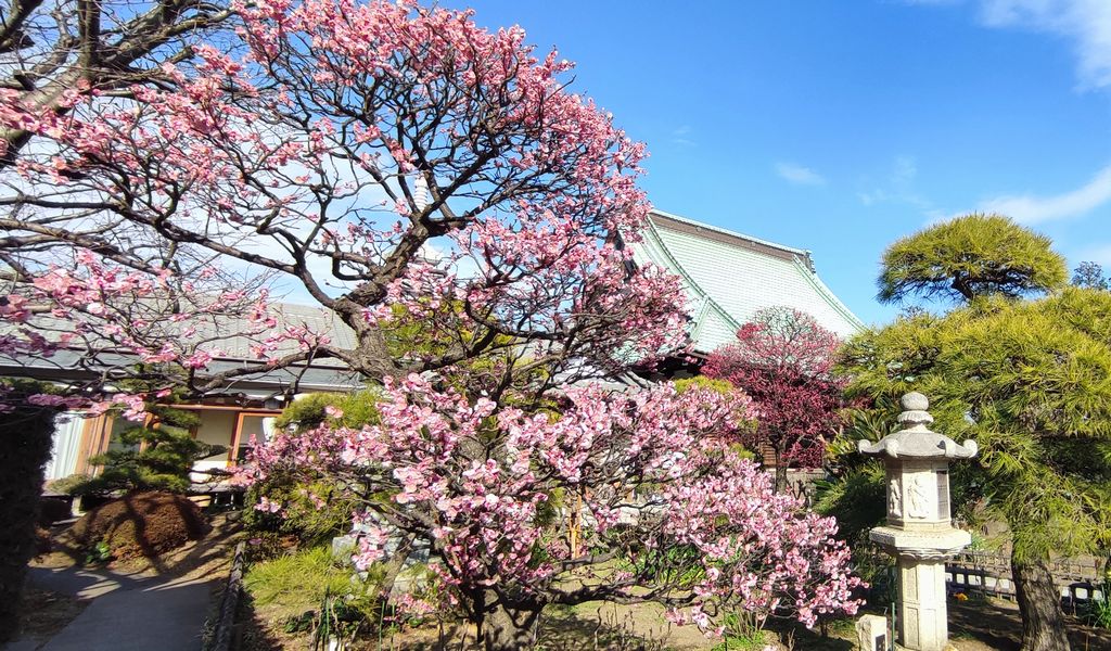 横浜 金沢区 2026年2月イベント情報