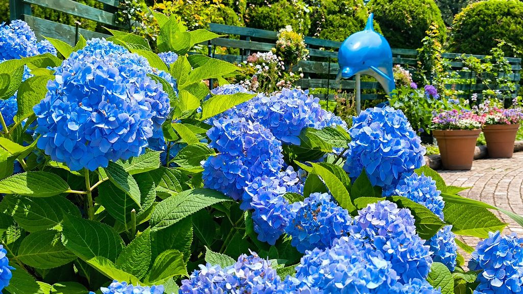 横浜 金沢区 2026年6月イベント情報