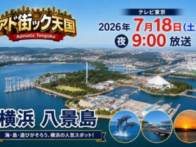 出没！アド街ック天国「横浜・八景島」