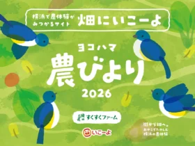 農びより｜横浜の農業体験イベント
