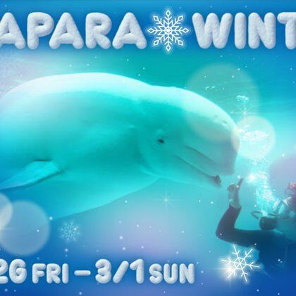 Image for twitter card