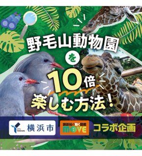 Image for twitter card