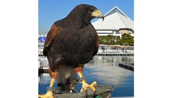 Image for twitter card